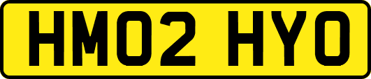 HM02HYO