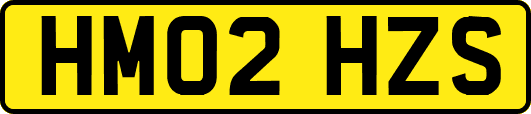 HM02HZS