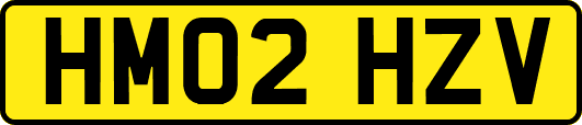 HM02HZV