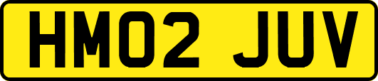 HM02JUV