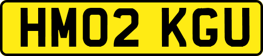 HM02KGU