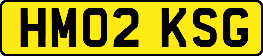 HM02KSG