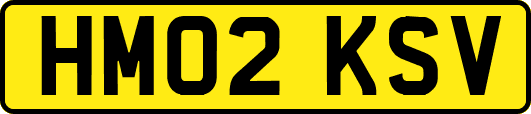 HM02KSV