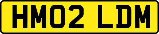 HM02LDM