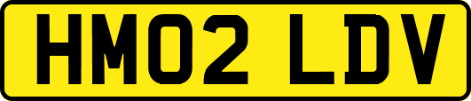 HM02LDV