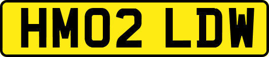 HM02LDW