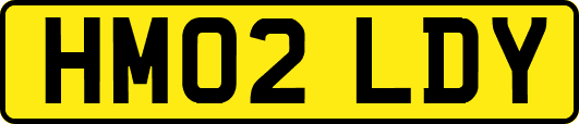 HM02LDY