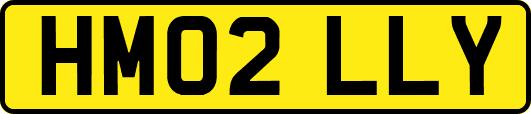HM02LLY