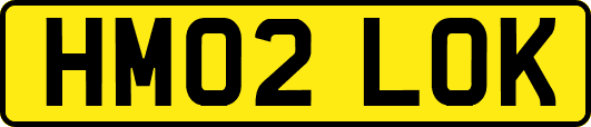 HM02LOK