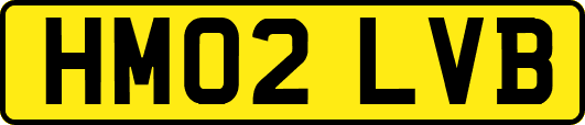 HM02LVB