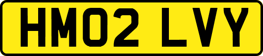 HM02LVY