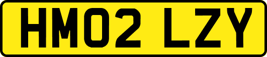 HM02LZY
