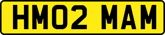HM02MAM