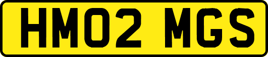 HM02MGS