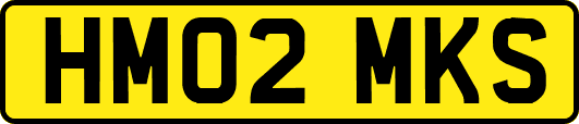 HM02MKS
