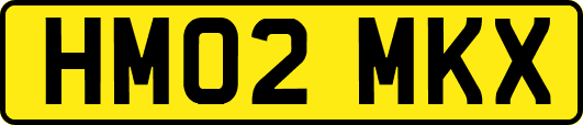 HM02MKX