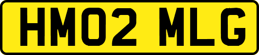 HM02MLG
