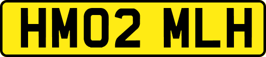 HM02MLH