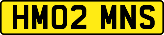 HM02MNS