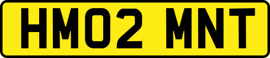 HM02MNT