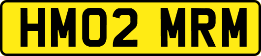 HM02MRM