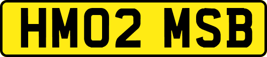 HM02MSB