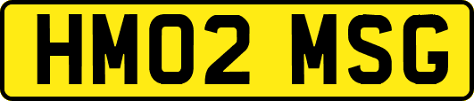 HM02MSG