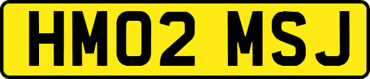HM02MSJ