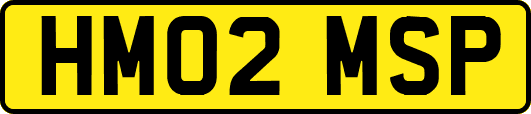HM02MSP