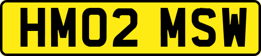 HM02MSW