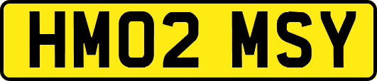 HM02MSY
