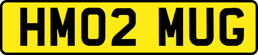 HM02MUG