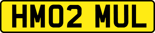 HM02MUL