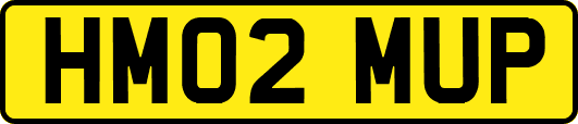 HM02MUP