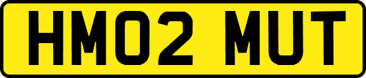 HM02MUT