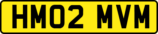 HM02MVM