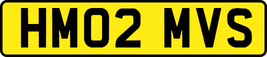 HM02MVS