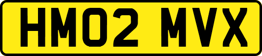 HM02MVX