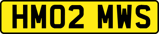 HM02MWS
