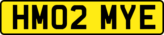 HM02MYE