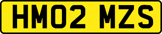 HM02MZS