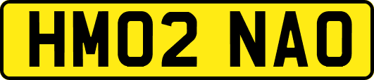 HM02NAO