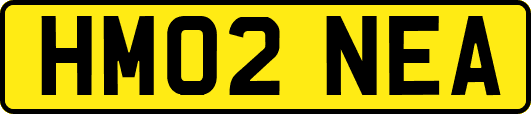 HM02NEA