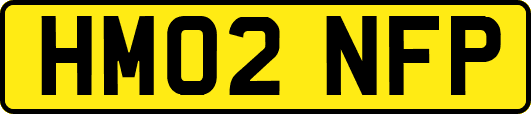 HM02NFP