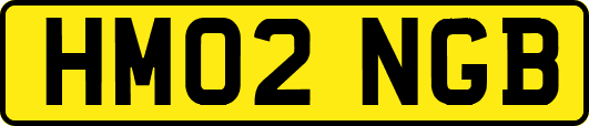 HM02NGB
