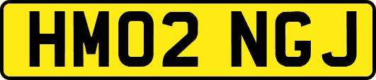HM02NGJ