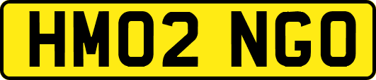 HM02NGO