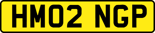 HM02NGP