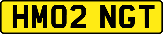 HM02NGT