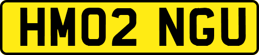HM02NGU